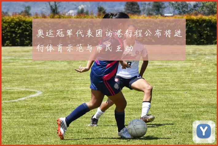 奥运冠军代表团访港行程公布将进行体育示范与市民互动